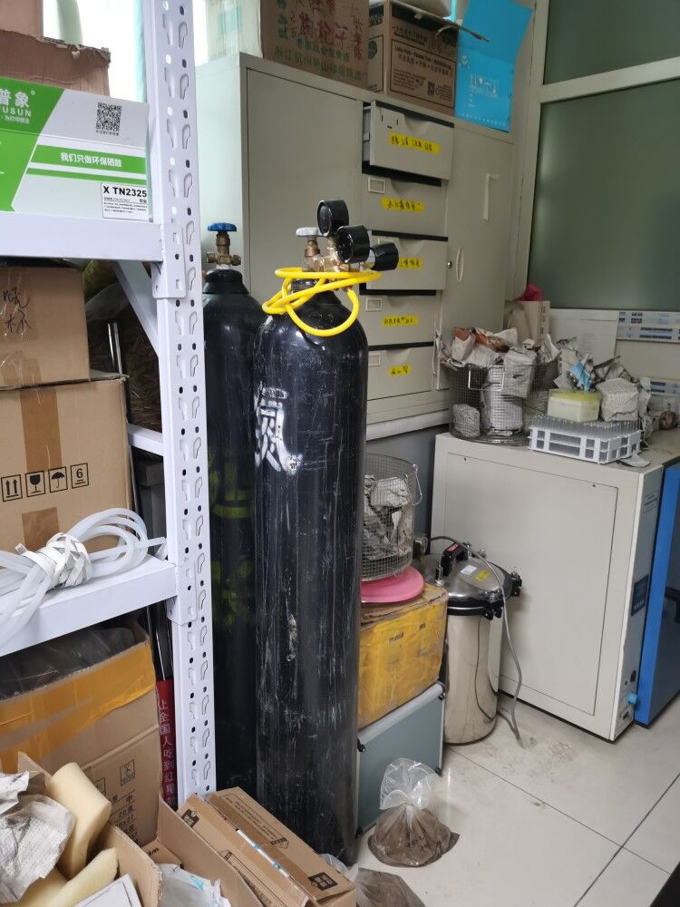 威尼斯娱乐